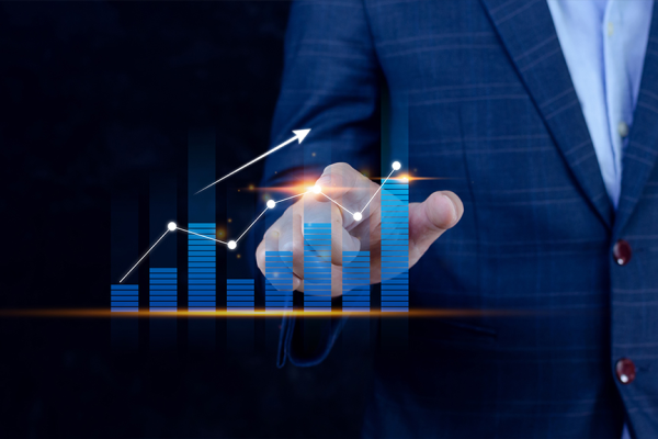 Business in the Digital Age: Strategies for Success and Sustainability